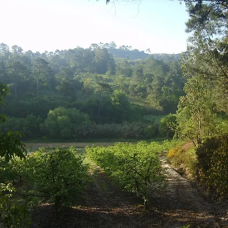 Quinta Da Vida Serena Bed & Breakfast