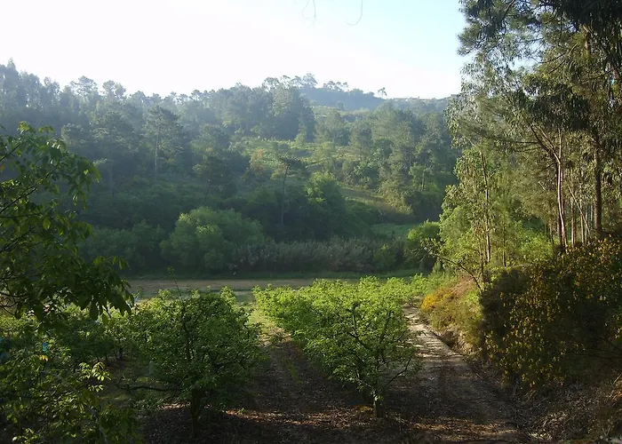 Quinta Da Vida Serena Couette-café